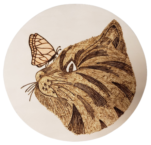 cat & butterfly