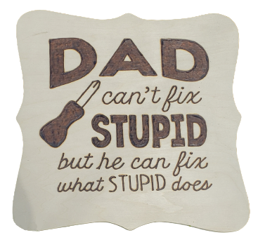 dad can't fix stupid