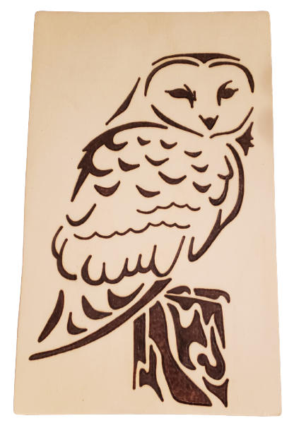 Owl