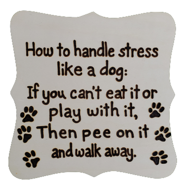 how to handle stress like a dog