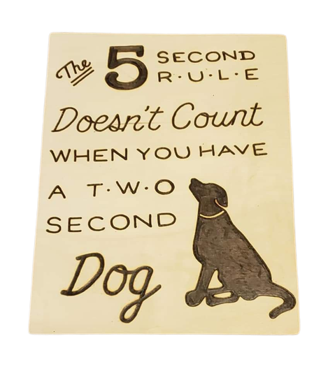 the 5 second rule